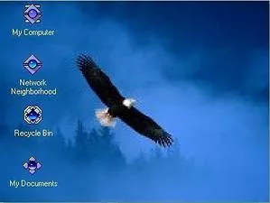 fly aigles