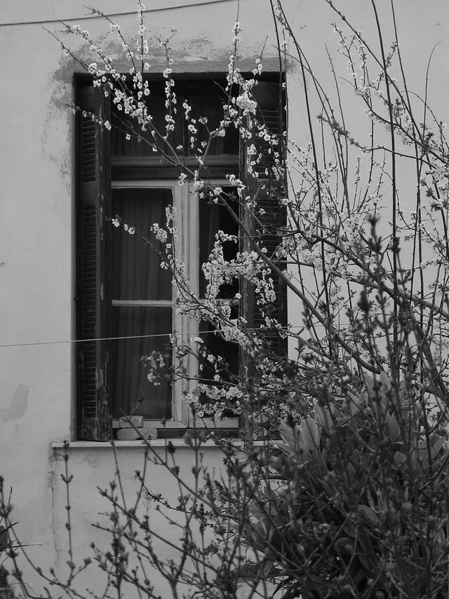 The Spring will come