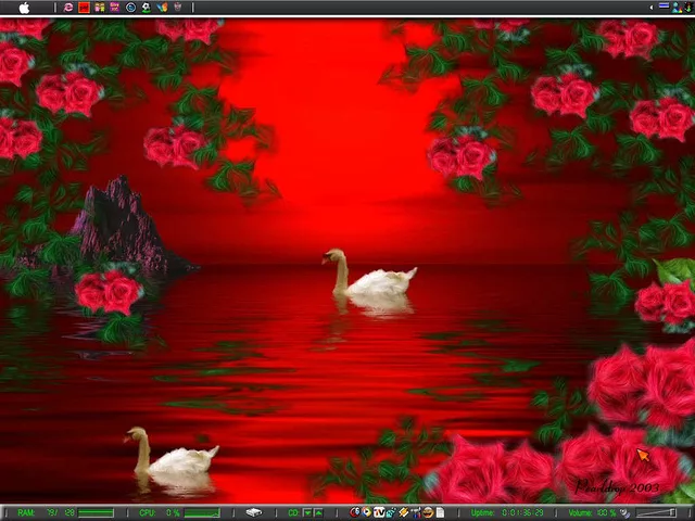 Roses