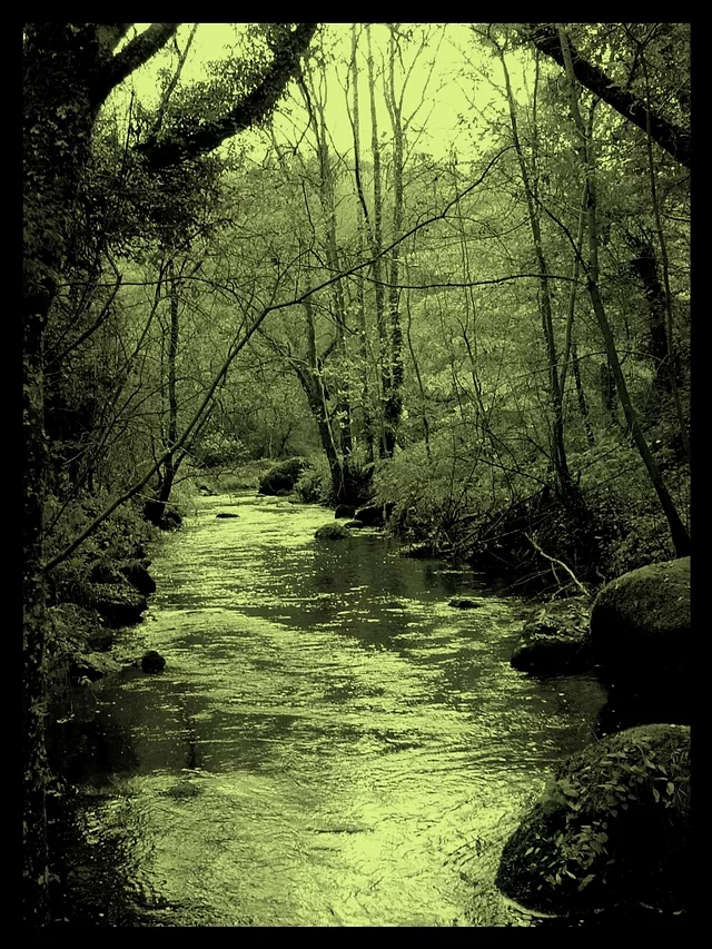 River