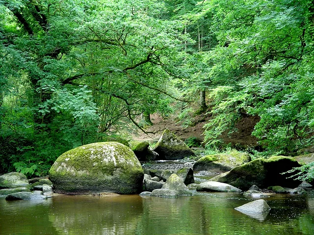 Cover artwork for Nature