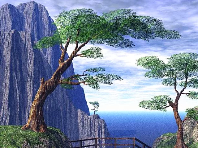 the cliff