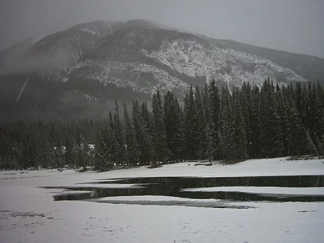 2004.03.22.009