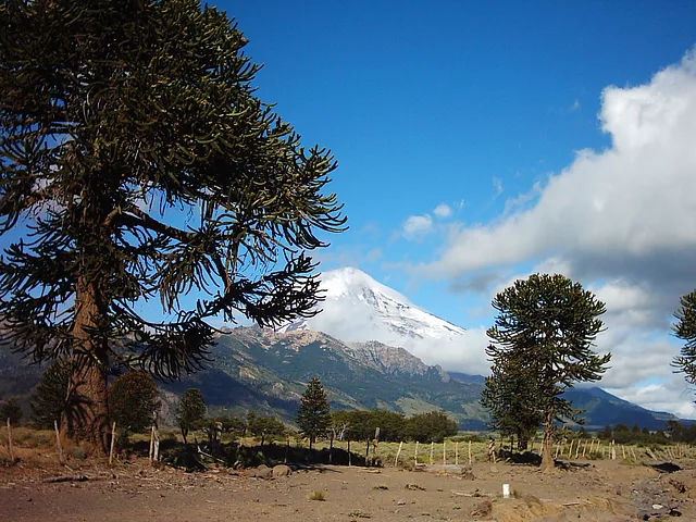 VolcanLanin