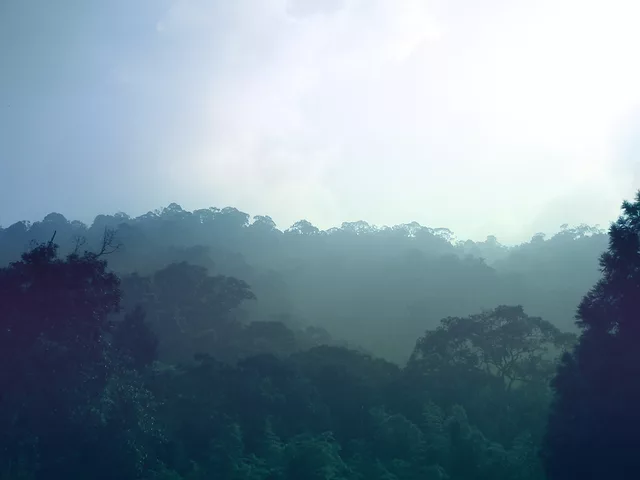 daybreak
