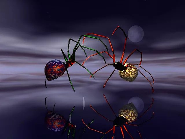 Dualing spiders