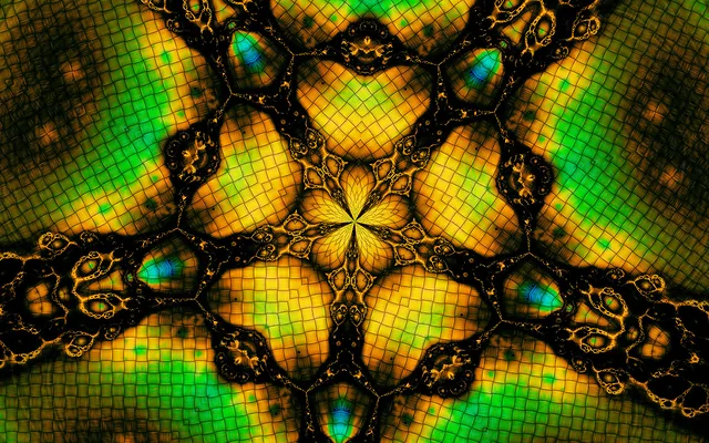 Safety Net