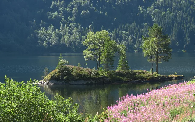 Picture of Norway