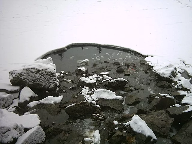 2004.03.22.012