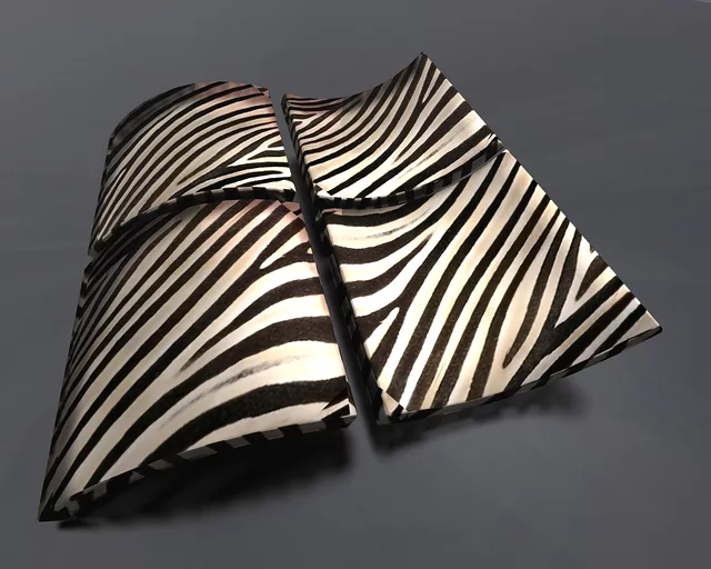 Win Zebre
