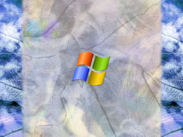 14 XP