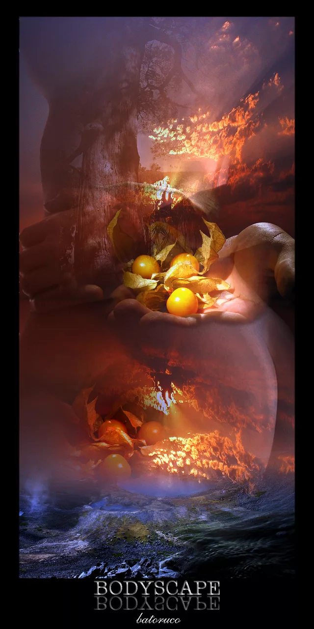 Cover artwork for Photo Manipulated