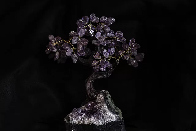Bonsai Tree