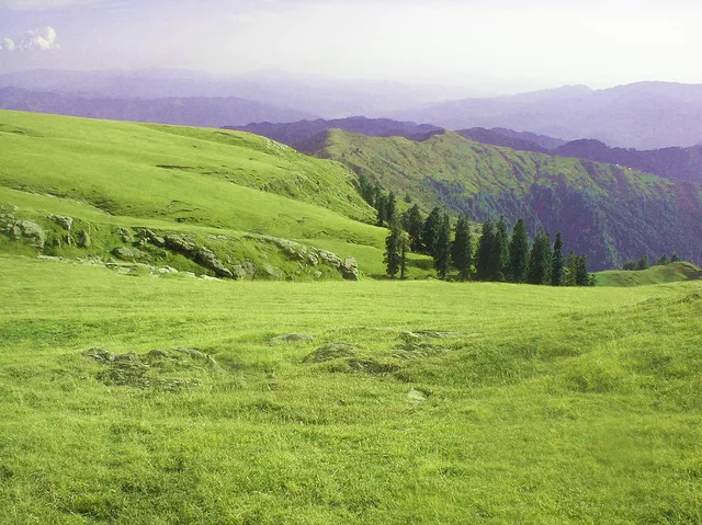 High Meadow