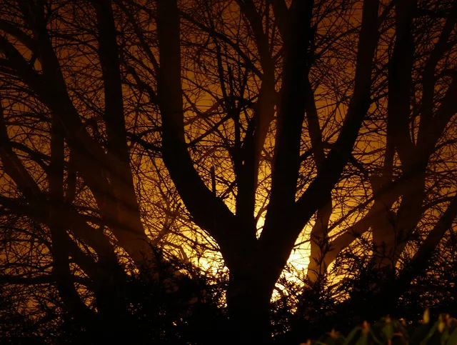 Night shot
