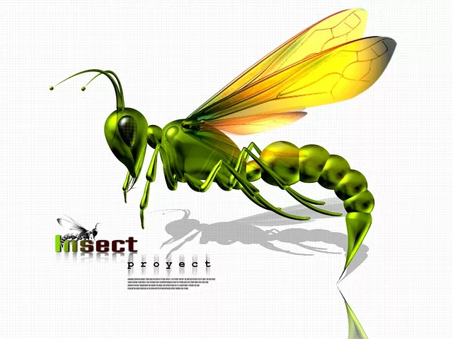 Entomon