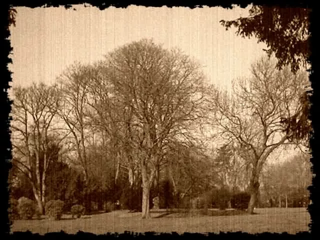 Old Peterborough