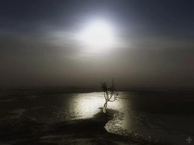Midnight