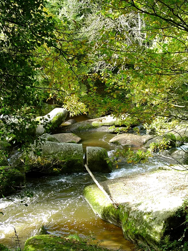 Cleft rock