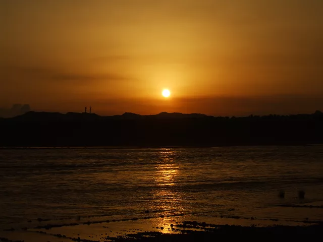 Silent Evening
