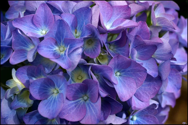 58