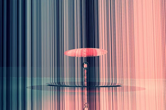Macro