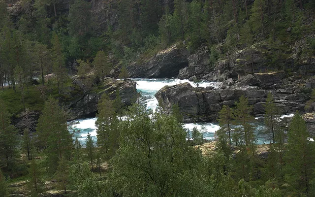 Picture of Norway