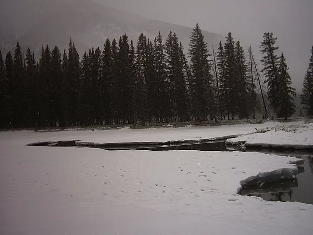 2004.03.22.013