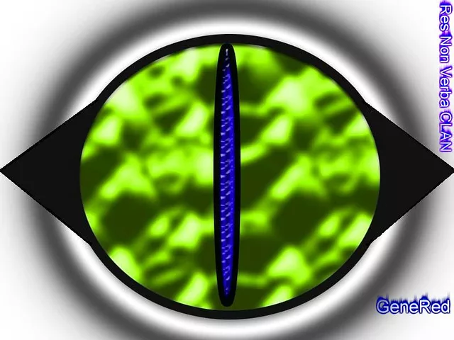 The EYE of The Past