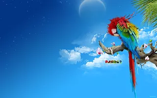 Parrot
