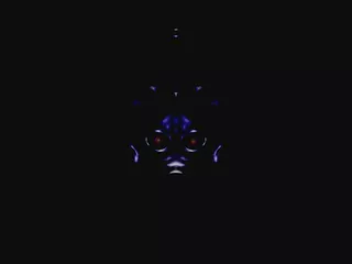 The Visitor