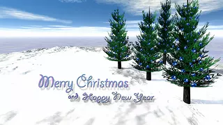 Christmas Trees