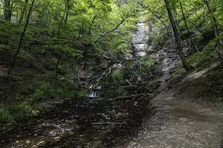 Dunning´s Springs 1