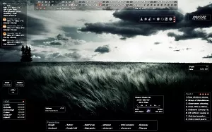 Field(V1)