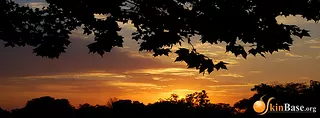 California Sunset Banner