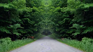 I think YOU better Drive