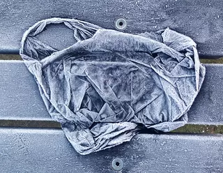 Frosted Bag