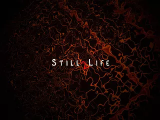 Still Life 2
