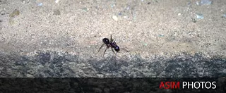 Life on The Edge