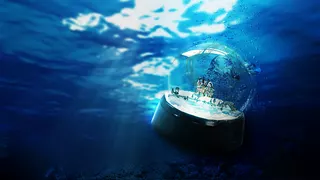 Lost at Sea