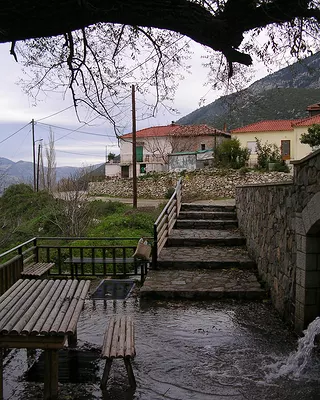 Tranquil Village