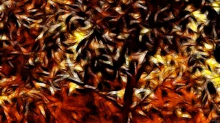 Leaf Art