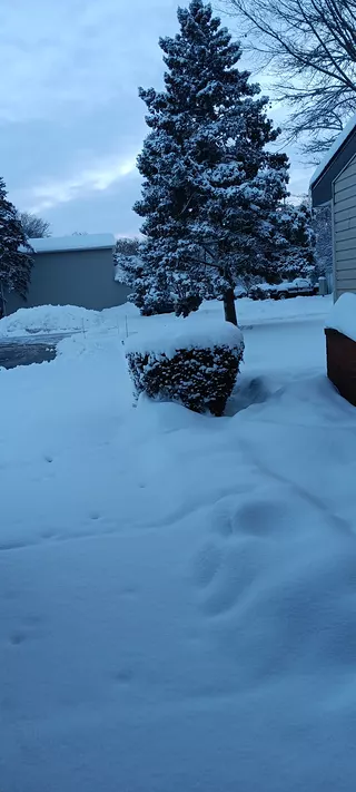 December snow