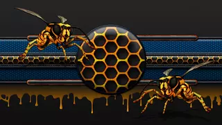 HoneyGlow_Bee_varietypak