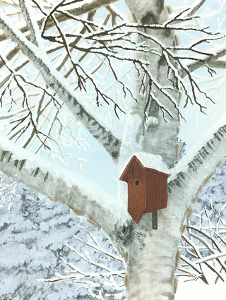 Winter Birch