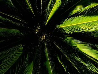 Green World