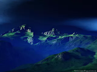 Euphoria