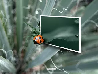 thinkOUTtheBOX OOB