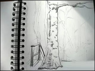 Sunlit sketch