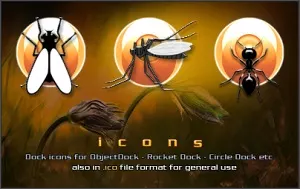 Insects